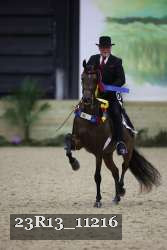 23R13_11216 thumbnail