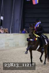 23R13_11217 thumbnail