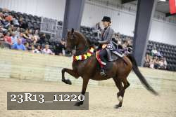 23R13_11220 thumbnail