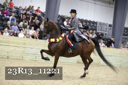 23R13_11221 thumbnail
