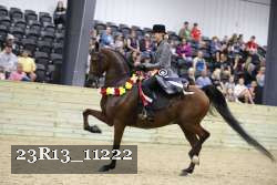 23R13_11222 thumbnail