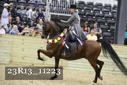 23R13_11223 thumbnail