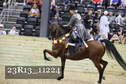 23R13_11224 thumbnail