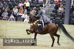 23R13_11225 thumbnail