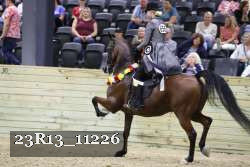 23R13_11226 thumbnail