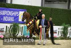 23R13_11279 thumbnail