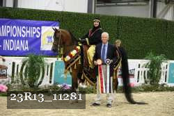 23R13_11281 thumbnail