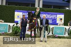23R13_11283 thumbnail
