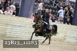 23R13_11285 thumbnail
