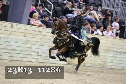 23R13_11286 thumbnail