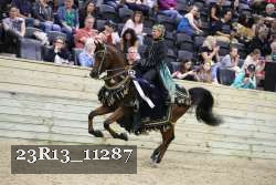 23R13_11287 thumbnail