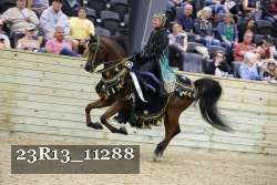23R13_11288 thumbnail