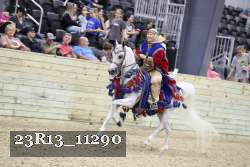 23R13_11290 thumbnail