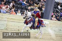 23R13_11291 thumbnail