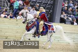 23R13_11293 thumbnail