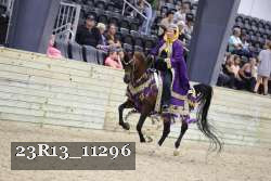 23R13_11296 thumbnail