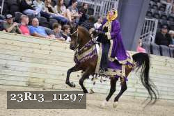 23R13_11297 thumbnail
