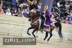 23R13_11298 thumbnail