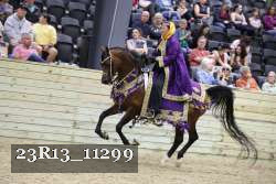 23R13_11299 thumbnail