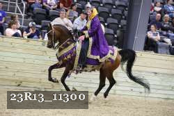 23R13_11300 thumbnail
