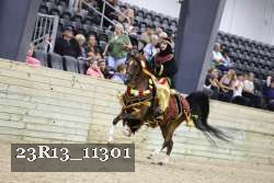 23R13_11301 thumbnail