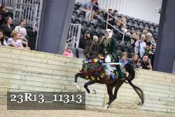 23R13_11313 thumbnail