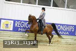 23R13_11328 thumbnail