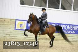 23R13_11346 thumbnail