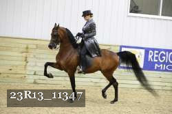 23R13_11347 thumbnail
