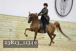 23R13_11349 thumbnail