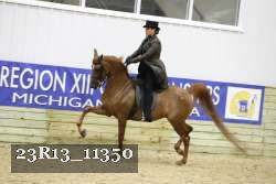23R13_11350 thumbnail