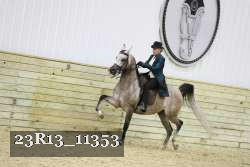 23R13_11353 thumbnail