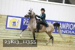 23R13_11355 thumbnail