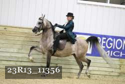 23R13_11356 thumbnail