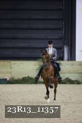 23R13_11357 thumbnail