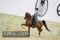 23R13_11359 thumbnail