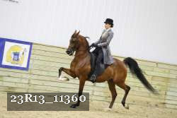 23R13_11360 thumbnail