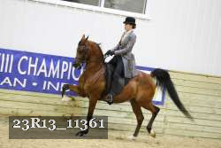 23R13_11361 thumbnail
