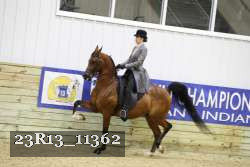 23R13_11362 thumbnail