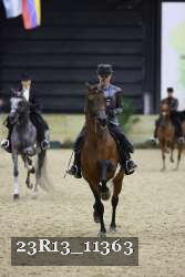 23R13_11363 thumbnail
