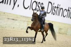 23R13_11364 thumbnail