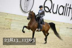 23R13_11365 thumbnail
