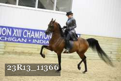 23R13_11366 thumbnail