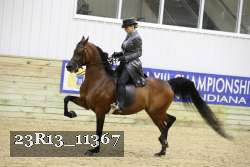 23R13_11367 thumbnail