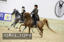 23R13_11369 thumbnail