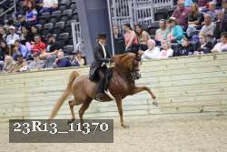 23R13_11370 thumbnail