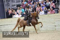 23R13_11371 thumbnail