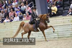 23R13_11372 thumbnail
