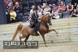 23R13_11373 thumbnail
