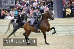 23R13_11374 thumbnail